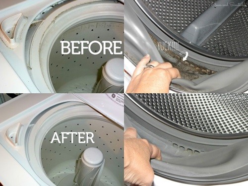 3 Bước vệ sinh gioăng cửa máy giặt Electrolux